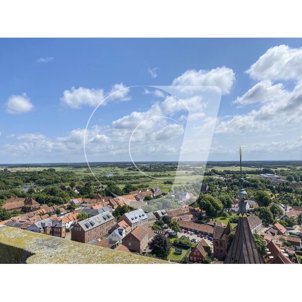 Borgertrnet i Ribe Domkirke