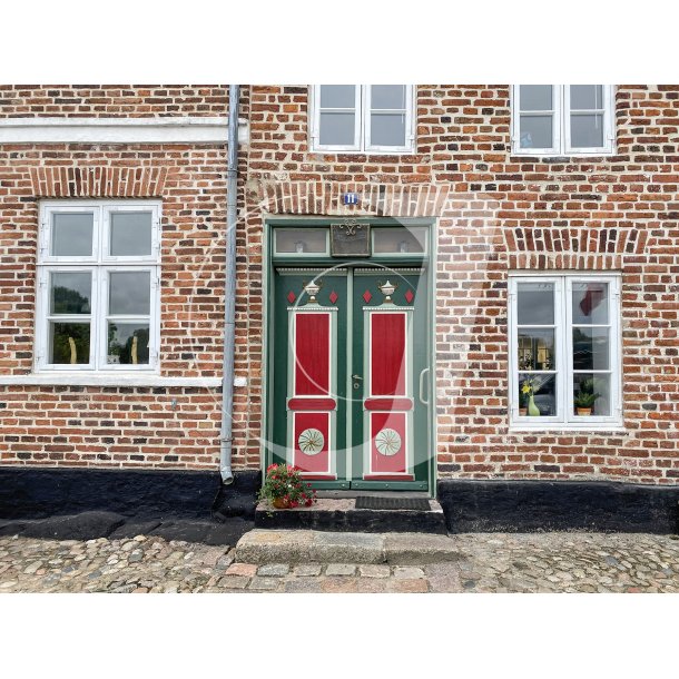 En af de mange fantastiske dre i Ribe