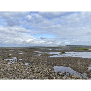 Vadehavet ved vejen til Mand�