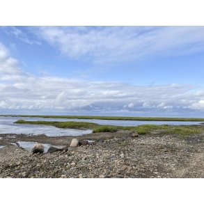 Vadehavet ved vejen til Mand�