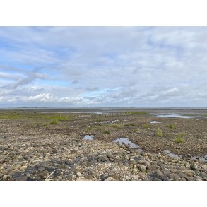 Vadehavet ved vejen til Mand�