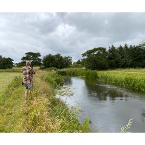 Konge� stien ved Ribe, har en flot fauna