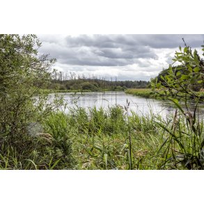 Guden�en t�t p� H�j Stene