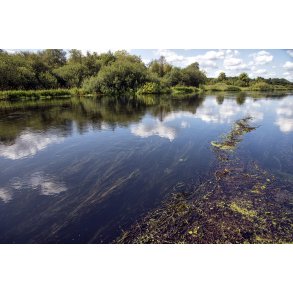 Gudenen ved Tvilum kirke