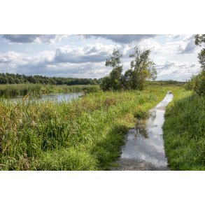 Trkstien langs med Gudenen ved Svostrup Kro