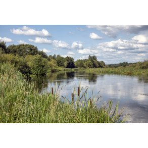 Gudenen tt ved Svostrup Kro