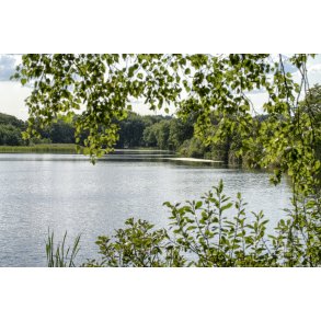 Tange s ved Ans og tt p udlb i Gudenen