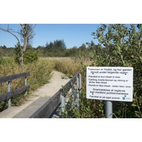 Tr�stien langs Guden�en, mellem H�j Stene og Kongensbro