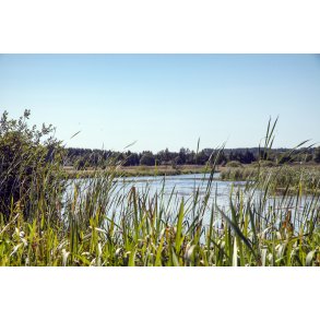 Guden�en mellem Kongensbro og H�j Stene