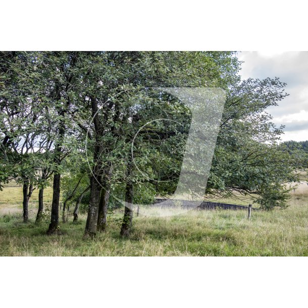 Badebassinerne &#150; Danmarks frste vandland ved Gudenens udspring