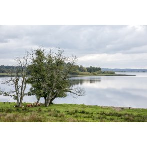 Udsigt over Guden�en og Moss� fra fuglet�rnet p� Klosterm�lle