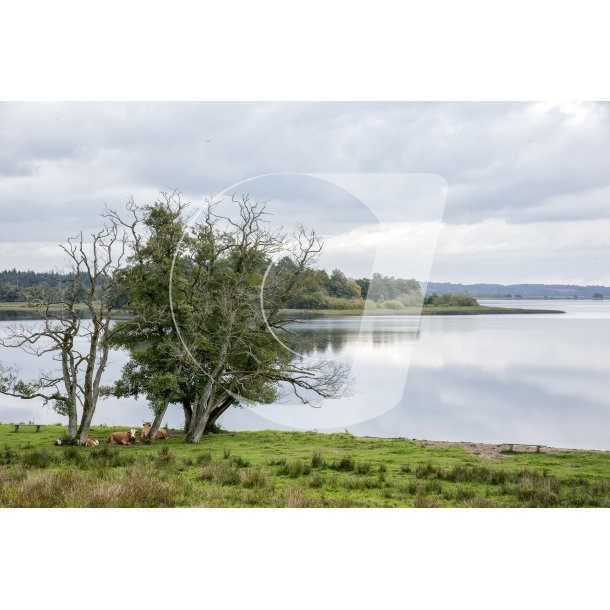 Udsigt over Gudenen og Moss fra fugletrnet p Klostermlle