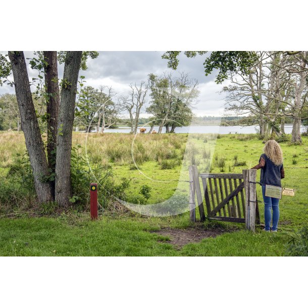 Udsigt over Gudenen og Moss fra Klostermlle