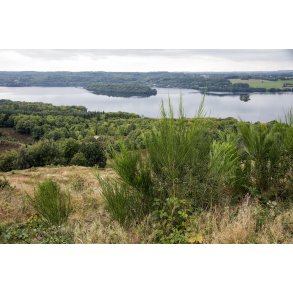 Udsigt fra Himmelbjerget over Gudenen og Juls