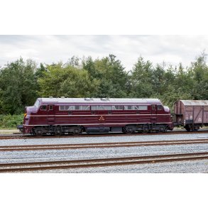 Lokomotiv DSB MY 1135 p� Randers Baneg�rd