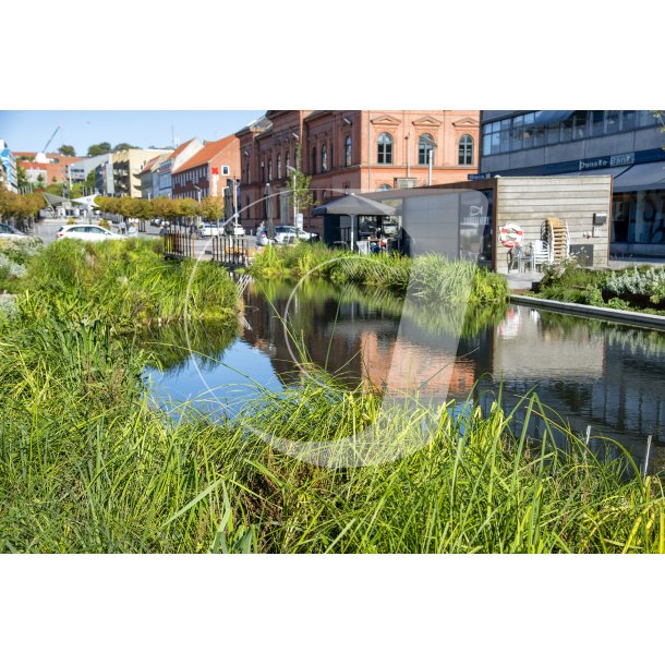 Regnvandsbassinet p stervold i Randers