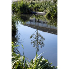 Regnvandsbassinet p� �stervold i Randers 