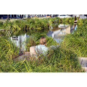 Regnvandsbassinet p� �stervold i Randers 