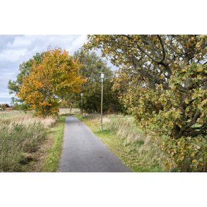 Cykelsti mellem Beder og Malling, med Beder i baggrunden