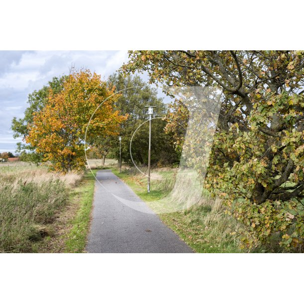 Cykelsti mellem Beder og Malling, med Beder i baggrunden