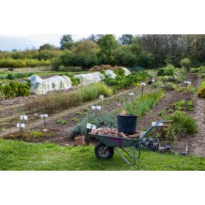 F�lleshaven i Beder er et �kologisk havef�llesskab