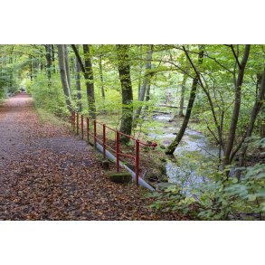 H.C. Andersens bro over Giber � i Vilhelmsborg skovene t�t p� Beder