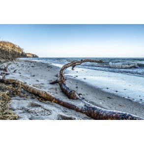 Fl�jstrup strand syd for Aarhus, dagen efter Januar stormen Malik i 2022