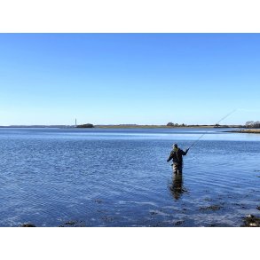 Fluefiskeri i Knebel Vig