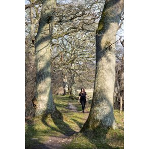 Lang� Egeskov ved Guden�en