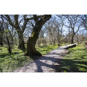 Lang� Egeskov ved Guden�en