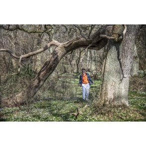 Lang� Egeskov kan v�re en n�sten ufremkommelig urskov ogs� p� en for�rsdag