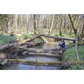 Heidi nyder for�rssolen i skoven ved den gl. jernbane i Laurbjerg. �en l�ber sammen med Lille�en