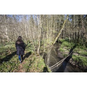 Heidi nyder for�rssolen i skoven ved den gl. jernbane i Laurbjerg. �en l�ber sammen med Lille�en