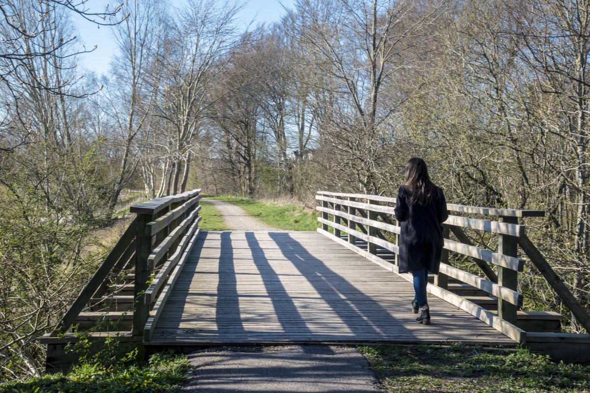 Den gamle jernbanebro over Lilleåen ved Laurbjerg Favrskov Kommune