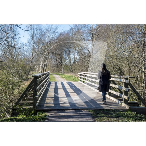 Den gamle jernbanebro over Lilleen ved Laurbjerg