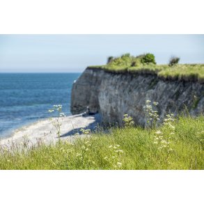 Sangstrup Klint p� Djursland nord for Gren�