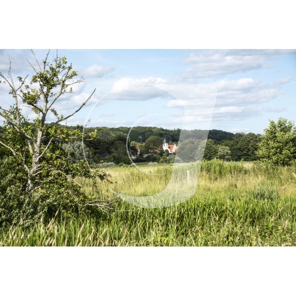 Brabrand kirke set fra bredden af Brabrand S