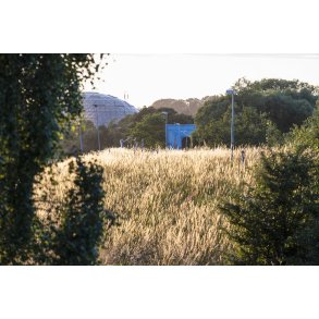 Den Bl� Bro og Randers Regnskov ved Guden�en i Randers