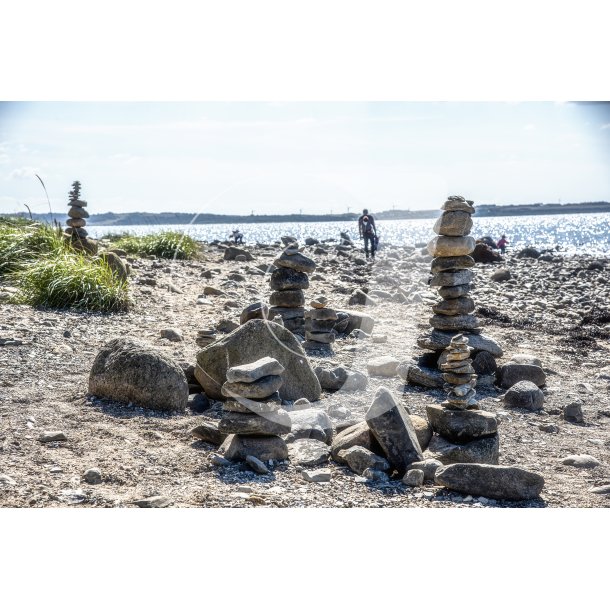 Stenstninger p Erteblle strand ved Limfjorden