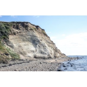 Erteb�lle Hoved ved Limfjorden