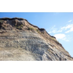 Erteb�lle Hoved ved Limfjorden