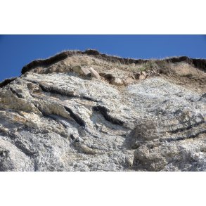 Erteb�lle Hoved ved Limfjorden