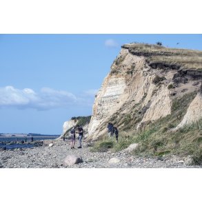 Erteb�lle Hoved ved Limfjorden