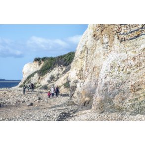 Erteb�lle Hoved ved Limfjorden