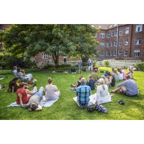 Waterfahl spiller i Sennelshaven ved Randers Festuge