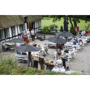 Maltekspressen spiller p� Skovm�llen ved Moesgaard