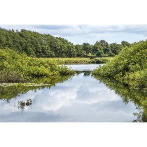 Tandrup s i Uhrehje Plantage