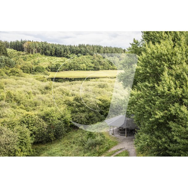 Udsigt over Tandrup s og shelters fra klatretrn i Uhrehje Plantage