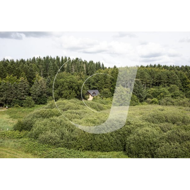 Udsigt over Uhrehje Plantage, set fra klatretrnet