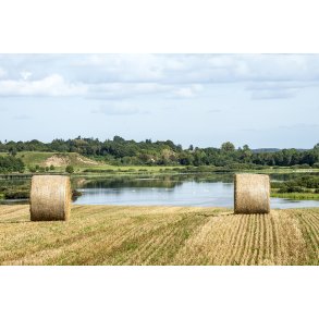 Rundballer med Louns s i baggrunden
